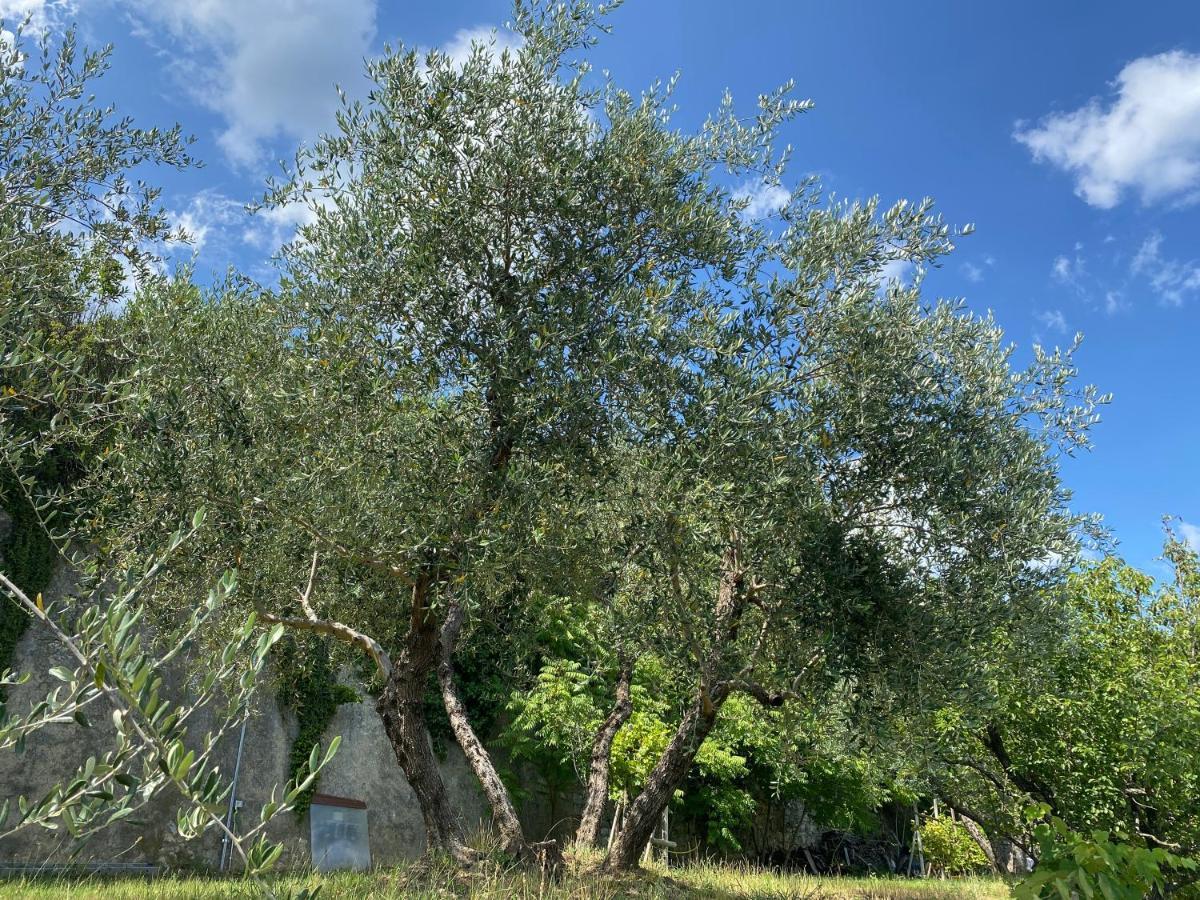 פראטו Accanto A Firenze מראה חיצוני תמונה